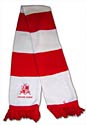 Bar scarf  'Delije North Side'