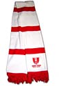 Scarf 'Pride of the City'