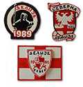 Delije magnets