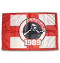 Delije flag