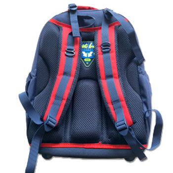 Anatomic school backpack FCRS 2020-2