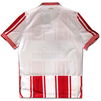 Macron home FC Red Star jersey for Europa League 2020/2021 with print-3