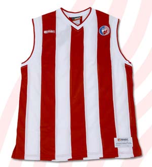 Original AND1 basketball jersey (no name nor number)