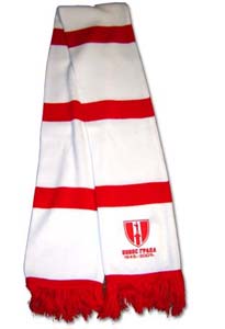 Scarf & T shirt `Pride of the city`