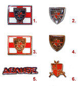 Delije badges